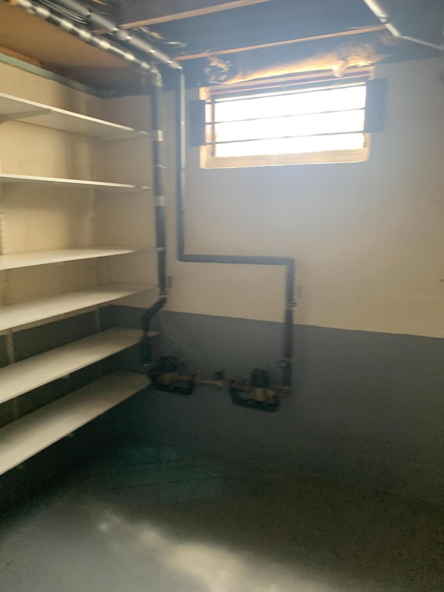 5513 S Waverly Rd, Lansing, MI 48911 - basement with plenty of natural light