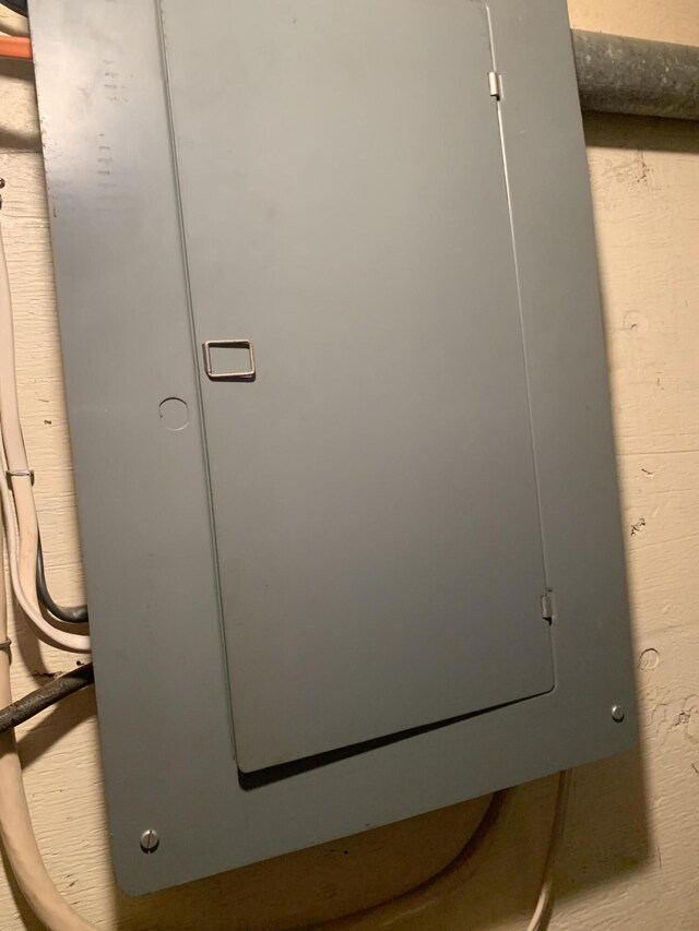 5513 S Waverly Rd, Lansing, MI 48911 - detailed view of electric panel