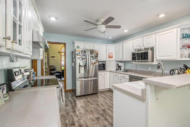27569 Hawthorne Rd, Sturgis, MI 49091 - kitchen featuring appliances with stainless steel finishes, under cabinet range hood, a peninsula, a ceiling fan, and white cabinetry