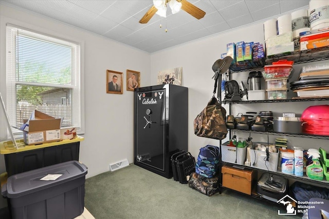4162 9th St, Newport, MI 48166 - misc room with carpet, a ceiling fan, and crown molding