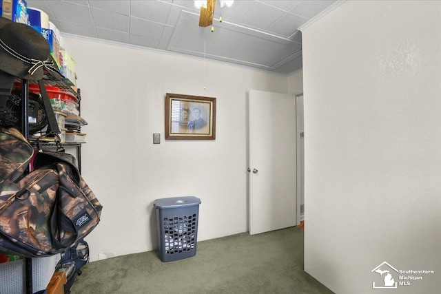 4162 9th St, Newport, MI 48166 - storage area featuring attic access and a ceiling fan
