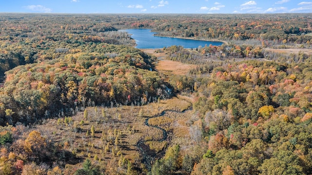 2347 W W Dowling Rd, Delton, MI 49046 - aerial overview of property's location with a heavily wooded area and a nearby body of water