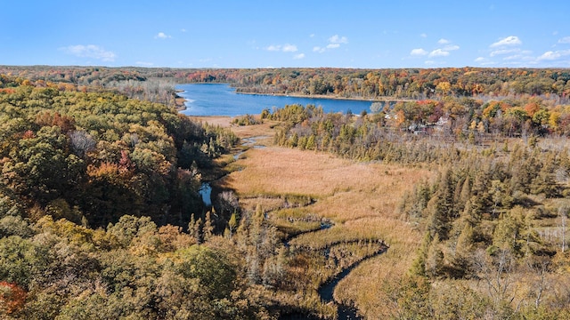 2347 W W Dowling Rd, Delton, MI 49046 - aerial view of property's location with a forest and a large body of water