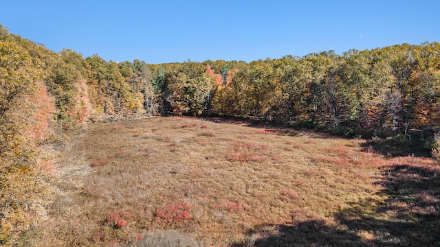 2347 W W Dowling Rd, Delton, MI 49046 - view of tree filled area