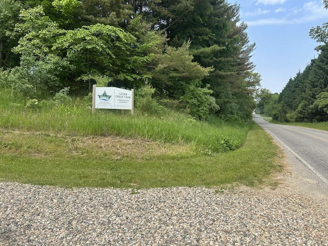 2347 W W Dowling Rd, Delton, MI 49046 - view of asphalt street