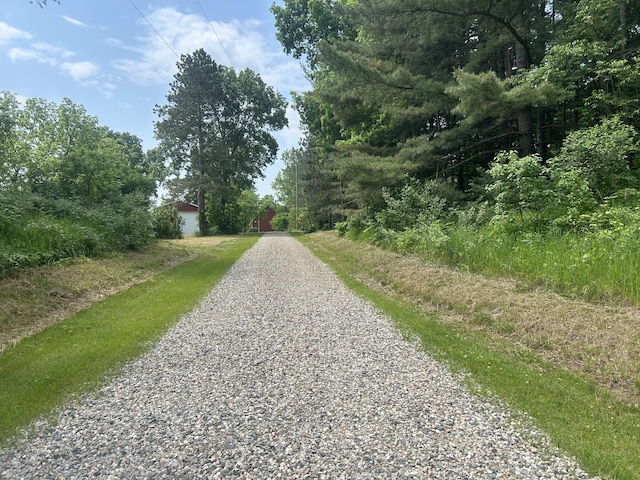 2347 W W Dowling Rd, Delton, MI 49046 - view of street