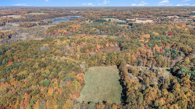 2347 W W Dowling Rd, Delton, MI 49046 - aerial overview of property's location featuring a forest
