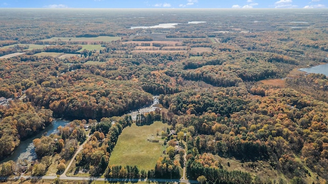 2347 W W Dowling Rd, Delton, MI 49046 - bird's eye view of a large body of water and a heavily wooded area