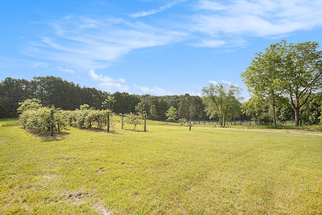 2347 W W Dowling Rd, Delton, MI 49046 - view of green lawn