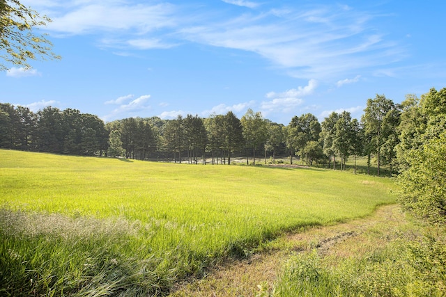 2347 W W Dowling Rd, Delton, MI 49046 - view of wooded area with a view of countryside