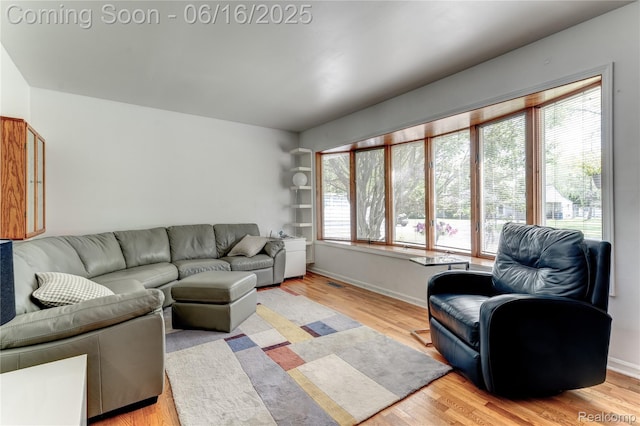 11704 Schram St, Grand Blanc, MI 48439 - living room featuring light wood-type flooring and baseboards