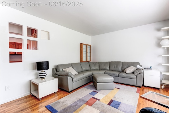 11704 Schram St, Grand Blanc, MI 48439 - living room featuring light wood-type flooring and baseboards