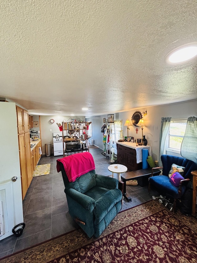 21794 30th Ave, Barryton, MI 49305 - living room with a textured ceiling