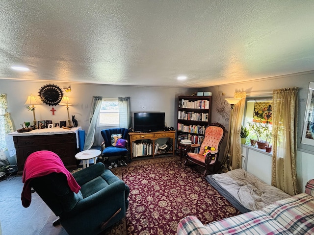 21794 30th Ave, Barryton, MI 49305 - carpeted living room with a textured ceiling