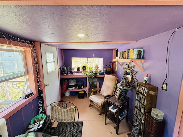 21794 30th Ave, Barryton, MI 49305 - living area featuring healthy amount of natural light and a textured ceiling