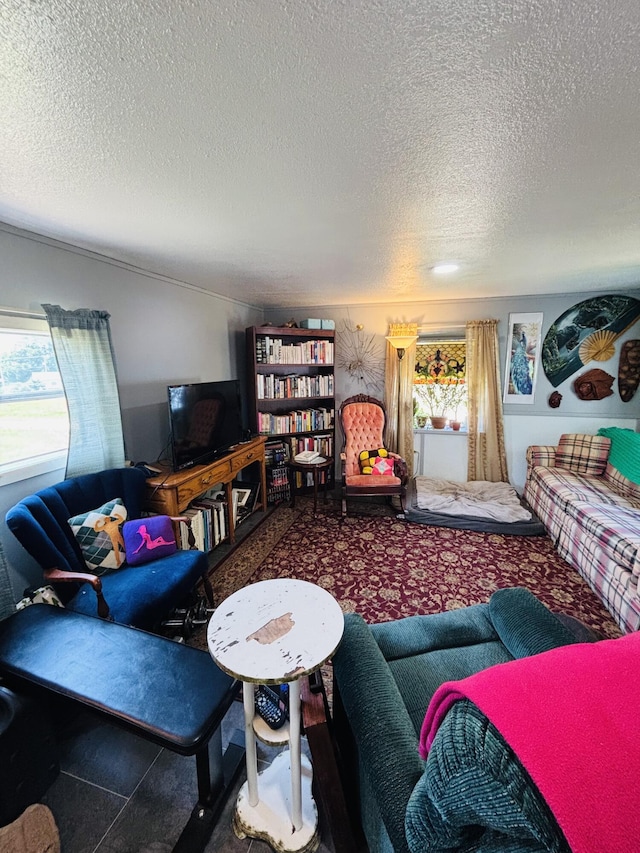 21794 30th Ave, Barryton, MI 49305 - carpeted living room featuring a textured ceiling