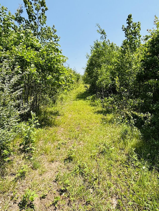 21794 30th Ave, Barryton, MI 49305 - view of nature