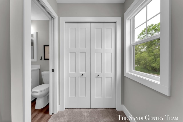 806 S Lake St, Whitehall, MI 49461 - bathroom featuring healthy amount of natural light