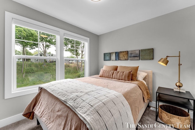 806 S Lake St, Whitehall, MI 49461 - carpeted bedroom featuring baseboards