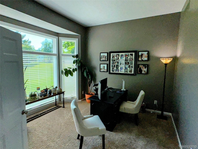 6771 Foxboro, Brighton, MI 48116 - office area with carpet