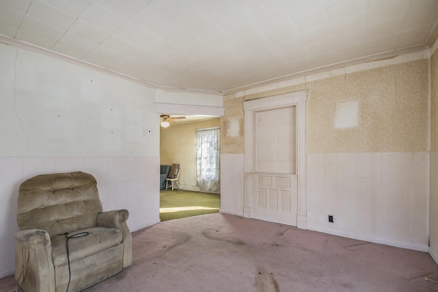 225 Sheldon St, Dowagiac, MI 49047 - unfurnished room with wainscoting and carpet