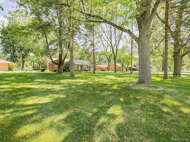 23740 Lee Baker Dr, Southfield, MI 48075 - view of grassy yard