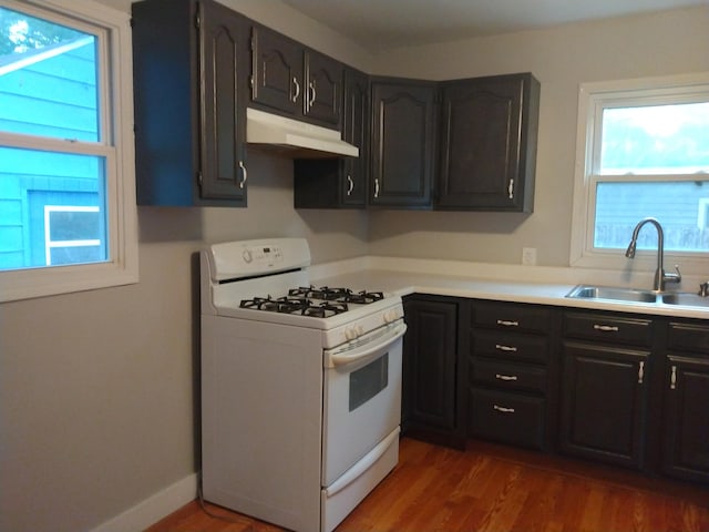 1830 Ferry St, Niles, MI 49120 - kitchen with white range with gas cooktop, under cabinet range hood, wood finished floors, and light countertops