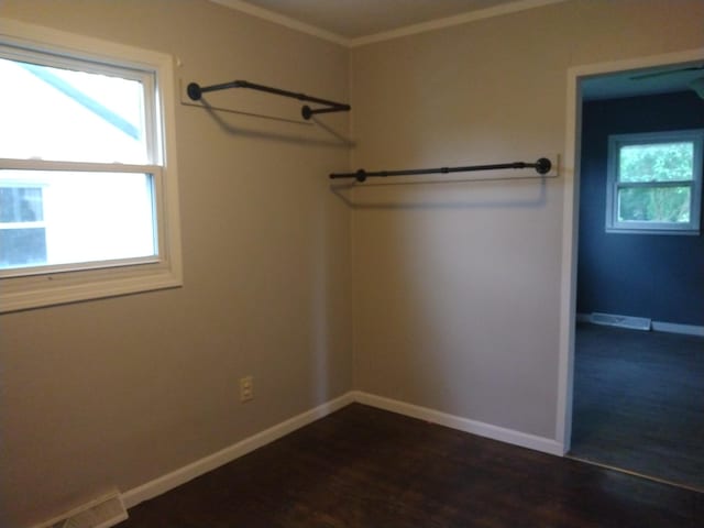 1830 Ferry St, Niles, MI 49120 - walk in closet with dark wood-style flooring