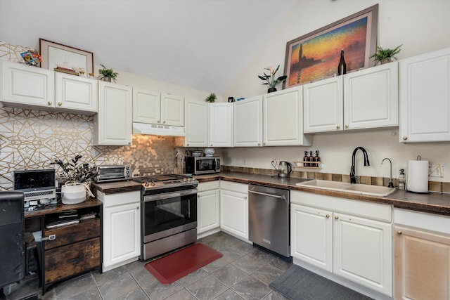 626 Hiscock St, Ann Arbor, MI 48103 - kitchen with stainless steel appliances, under cabinet range hood, dark countertops, tasteful backsplash, and high vaulted ceiling