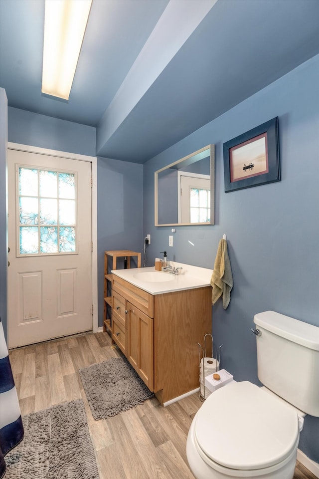626 Hiscock St, Ann Arbor, MI 48103 - bathroom with vanity, healthy amount of natural light, and wood finished floors