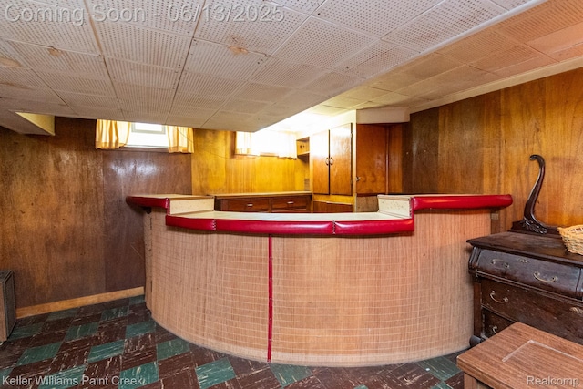 526 W Webster Rd, Royal Oak, MI 48073 - indoor dry bar with wooden walls and tile patterned floors
