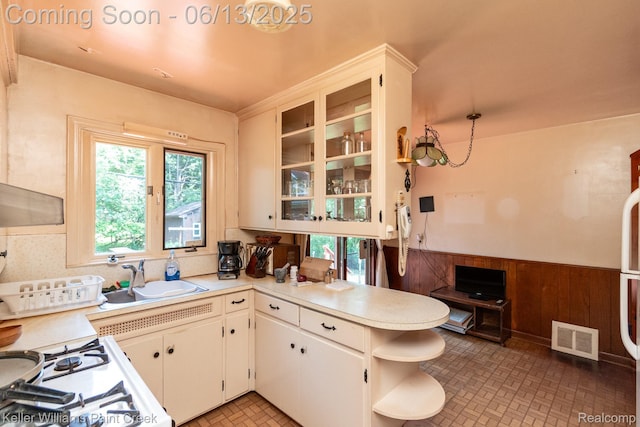 526 W Webster Rd, Royal Oak, MI 48073 - kitchen featuring light countertops, open shelves, wainscoting, and healthy amount of natural light