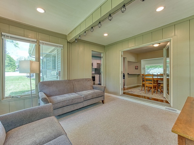 219 Park St, Tecumseh, MI 49286 - carpeted living area featuring rail lighting and recessed lighting
