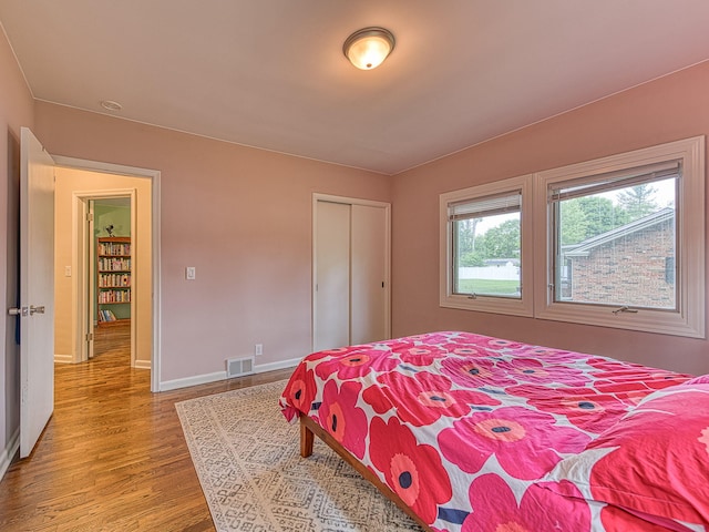 219 Park St, Tecumseh, MI 49286 - bedroom with wood finished floors and a closet