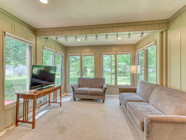 219 Park St, Tecumseh, MI 49286 - living room with carpet floors and track lighting