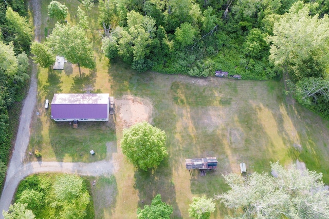 4100 Maloney Rd, Pinconning, MI 48650 - aerial view of property's location