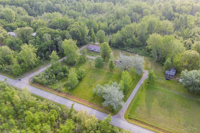 4100 Maloney Rd, Pinconning, MI 48650 - bird's eye view of a forest