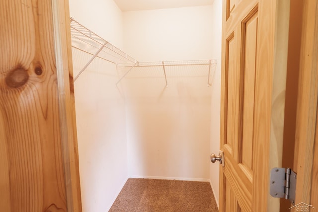 4100 Maloney Rd, Pinconning, MI 48650 - walk in closet featuring carpet floors