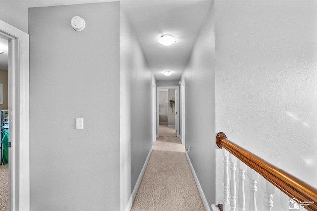 696 Webber Dr, Temperance, MI 48182 - corridor with carpet flooring and baseboards