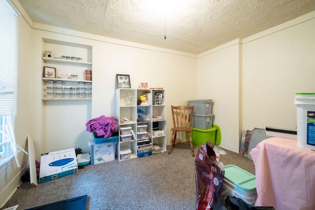 635 Sinclair Ave NE, Grand Rapids, MI 49503 - view of storage area