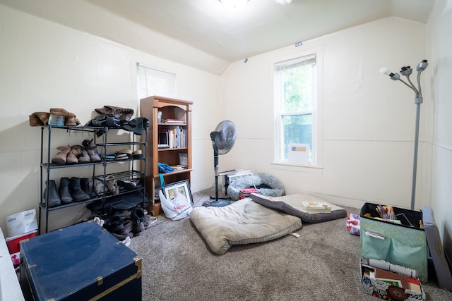 635 Sinclair Ave NE, Grand Rapids, MI 49503 - game room with lofted ceiling and carpet floors