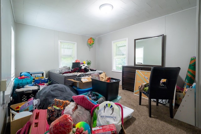 635 Sinclair Ave NE, Grand Rapids, MI 49503 - bedroom featuring carpet flooring