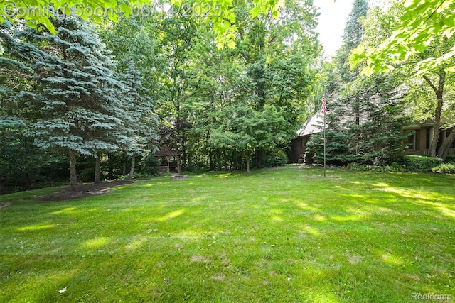3376 Oak Park Dr, Saline, MI 48176 - photo 11