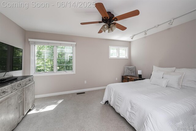 3376 Oak Park Dr, Saline, MI 48176 - photo 50