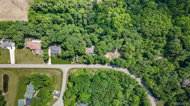3376 Oak Park Dr, Saline, MI 48176 - photo 58