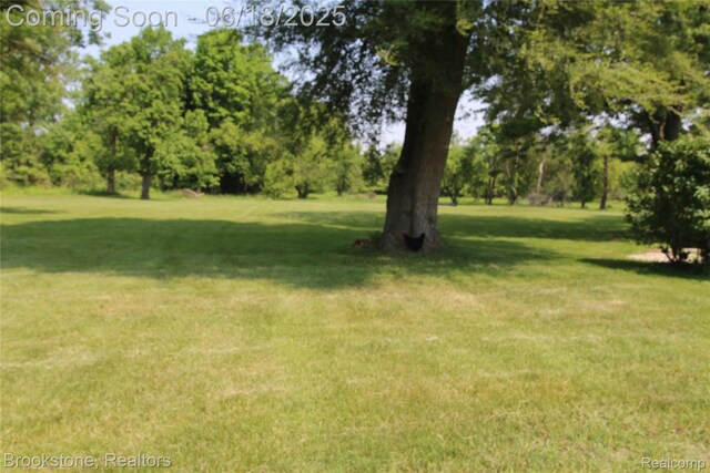 32599 Armada Ridge Rd, Richmond, MI 48062 - view of grassy yard featuring view of scattered trees