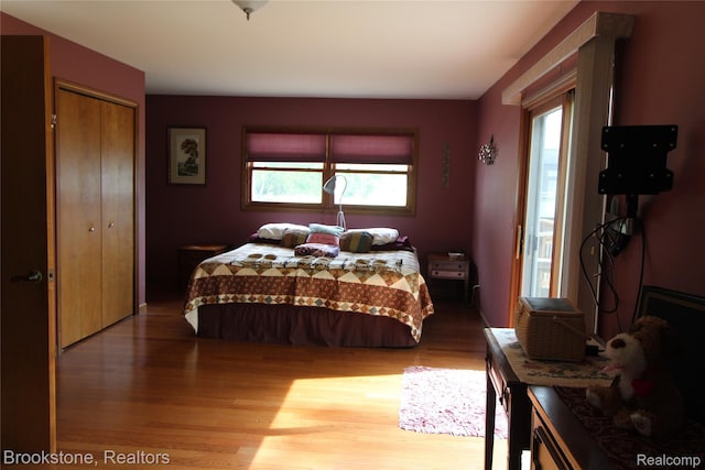 32599 Armada Ridge Rd, Richmond, MI 48062 - bedroom with wood finished floors and a closet
