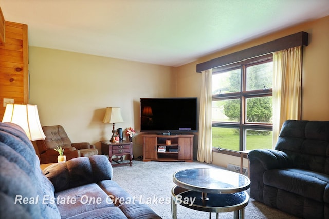 959 N Cass Ave, Vassar, MI 48768 - carpeted living area with healthy amount of natural light