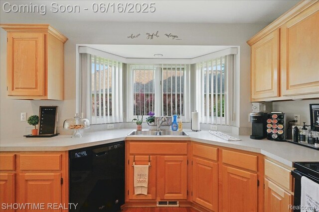 50064 Josephine Dr, Macomb, MI 48044 - kitchen featuring dishwasher, healthy amount of natural light, and light countertops