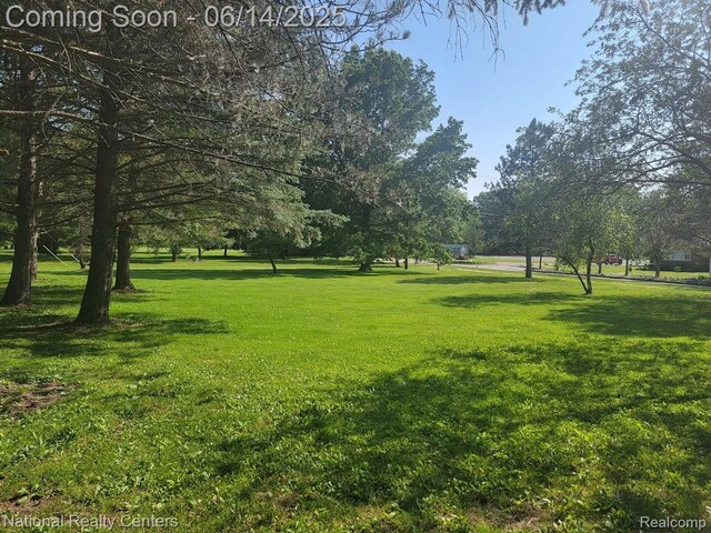 23334 King Dr, Clinton Township, MI 48035 - photo 37